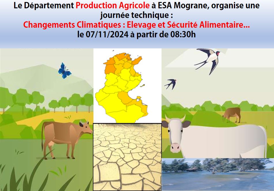 Une journée technique à l'ESA Moghrane : le 07/11/2024 à partir de 08:30h